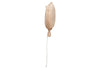 Ballon 25x30cm Party Collection - Biscuit