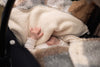 Footmuff group 0+ 3/5 points Check - Boucle