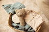 Rattle - Teddy Bear - Olive Green