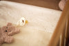 Pacifier Cloth - Teddy Bear - Wild Rose