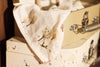 Valisette à Jouets - Tiny Park - 2 Unités