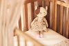Peluche - Jill