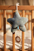 Peluche Musicale Star - Sea Green