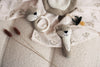Anneau de dentition Fox