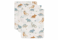 Washcloth Muslin - Roarsome - 3 Pack