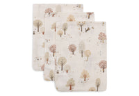 Washcloth Muslin - Tiny Park - 3 Pack