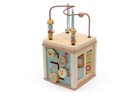 Wooden Activity Cube - Jollies