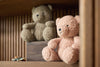 Stuffed Animal - Teddy Bear - Wild Rose