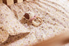 Duvet Cover Set 100x140cm - Flower Fairies