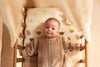 Fitted Sheet Jersey 70/75x140/150cm - Miffy and Friends
