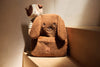 Backpack - Diego