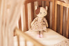 Kuscheltier - Jill