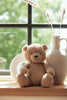 Peluche - Teddy Bear - Biscuit