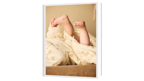 Collectie catalogus 2025-2026 (ENG)