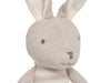 Stuffed Animal Bunny Joey